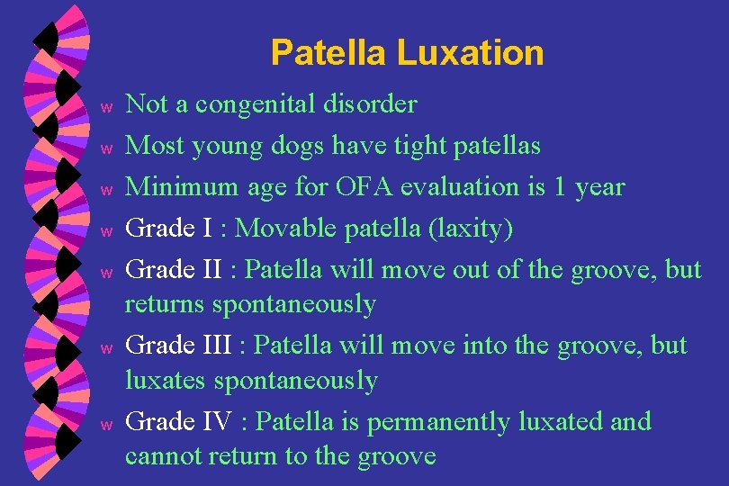 Patella Luxation w w w w Not a congenital disorder Most young dogs have