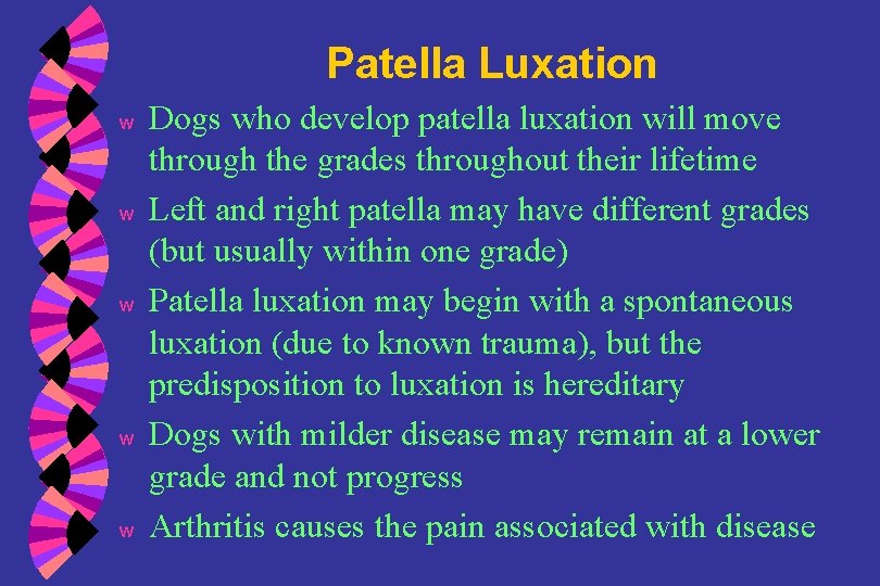 Patella Luxation w w w Dogs who develop patella luxation will move through the