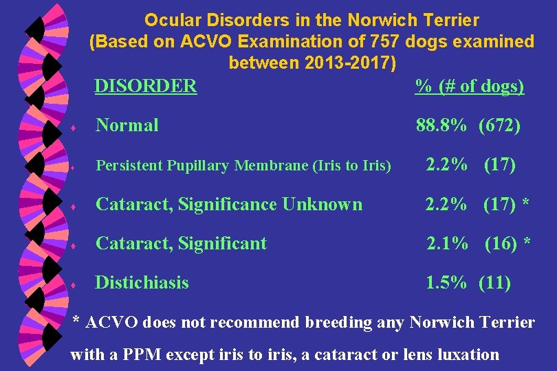 Ocular Disorders in the Norwich Terrier (Based on ACVO Examination of 757 dogs examined