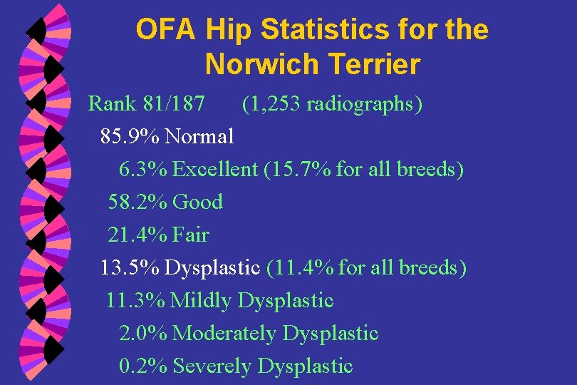 OFA Hip Statistics for the Norwich Terrier Rank 81/187 (1, 253 radiographs) 85. 9%
