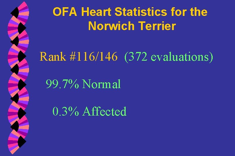 OFA Heart Statistics for the Norwich Terrier Rank #116/146 (372 evaluations) 99. 7% Normal