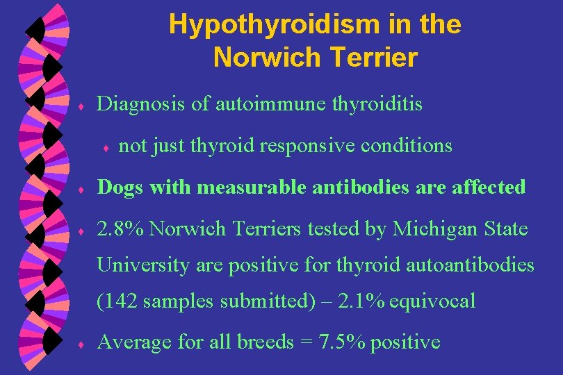 Hypothyroidism in the Norwich Terrier ♦ Diagnosis of autoimmune thyroiditis ♦ not just thyroid