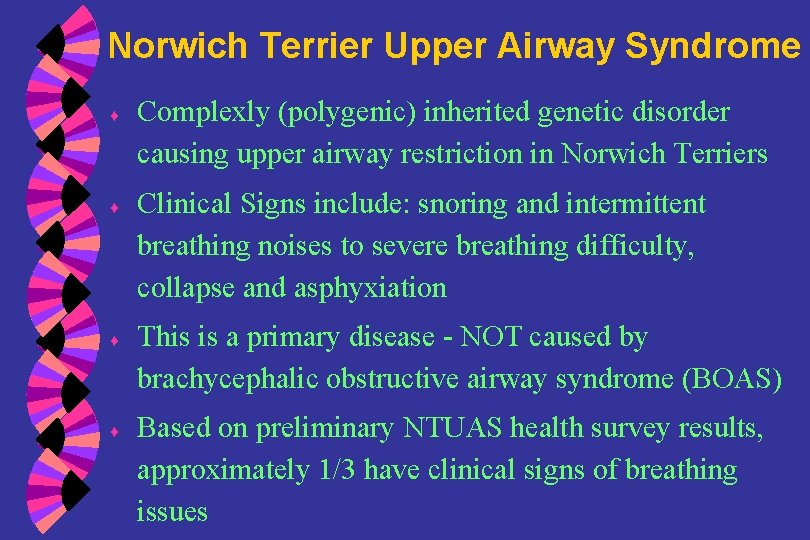 Norwich Terrier Upper Airway Syndrome ♦ ♦ Complexly (polygenic) inherited genetic disorder causing upper
