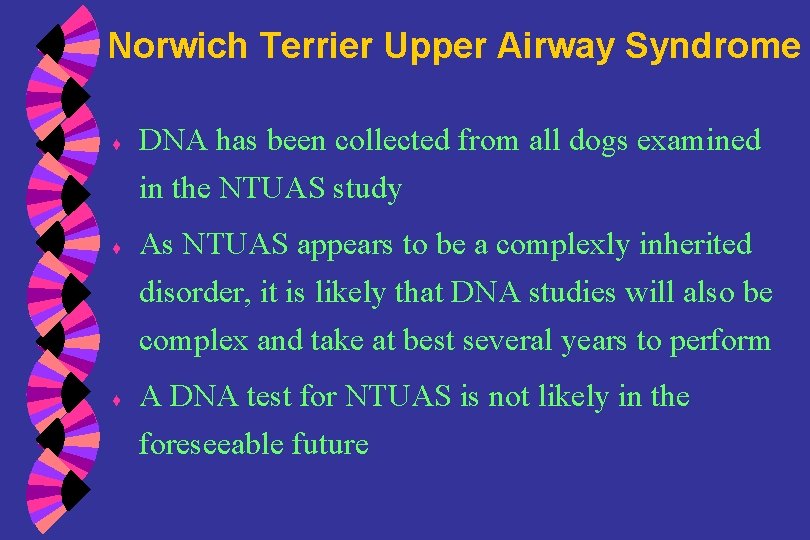 Norwich Terrier Upper Airway Syndrome ♦ ♦ ♦ DNA has been collected from all