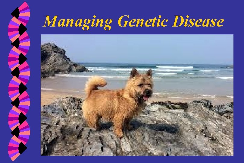 Managing Genetic Disease 