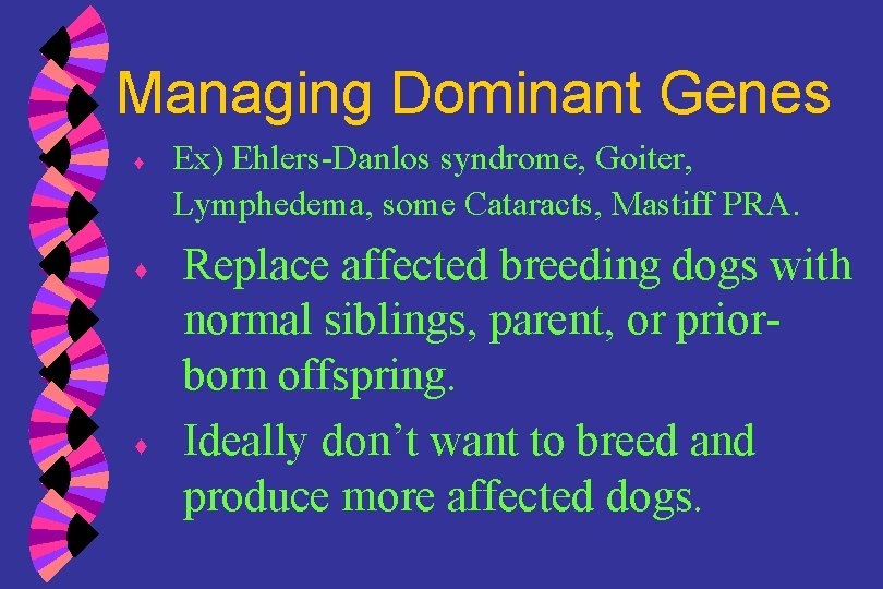Managing Dominant Genes ♦ ♦ ♦ Ex) Ehlers-Danlos syndrome, Goiter, Lymphedema, some Cataracts, Mastiff