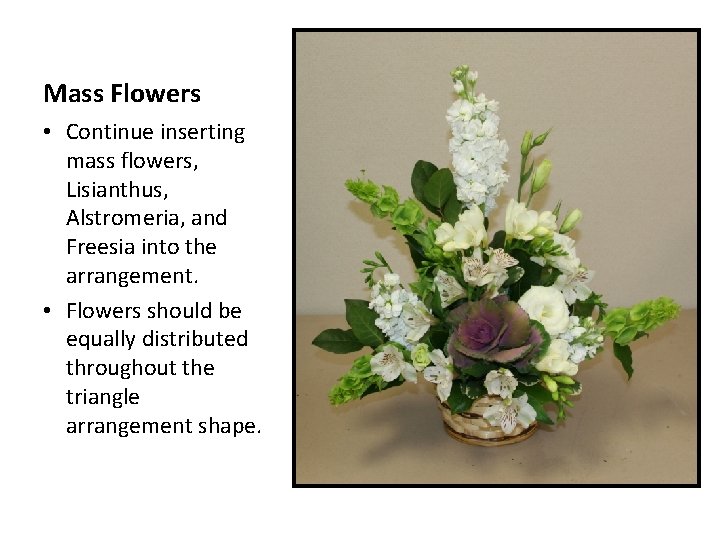 Mass Flowers • Continue inserting mass flowers, Lisianthus, Alstromeria, and Freesia into the arrangement.