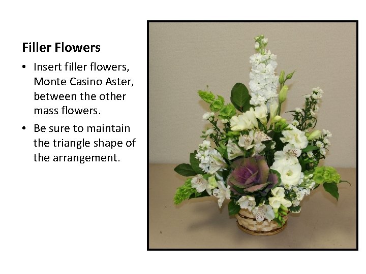 Filler Flowers • Insert filler flowers, Monte Casino Aster, between the other mass flowers.