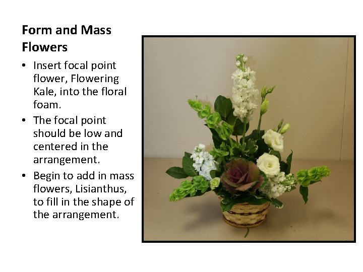 Form and Mass Flowers • Insert focal point flower, Flowering Kale, into the floral