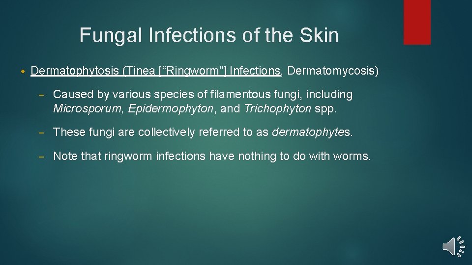 Fungal Infections of the Skin • Dermatophytosis (Tinea [“Ringworm”] Infections, Dermatomycosis) – Caused by