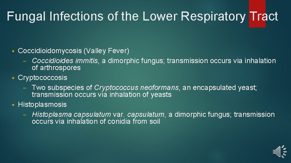 Fungal Infections of the Lower Respiratory Tract Coccidioidomycosis (Valley Fever) – Coccidioides immitis, a