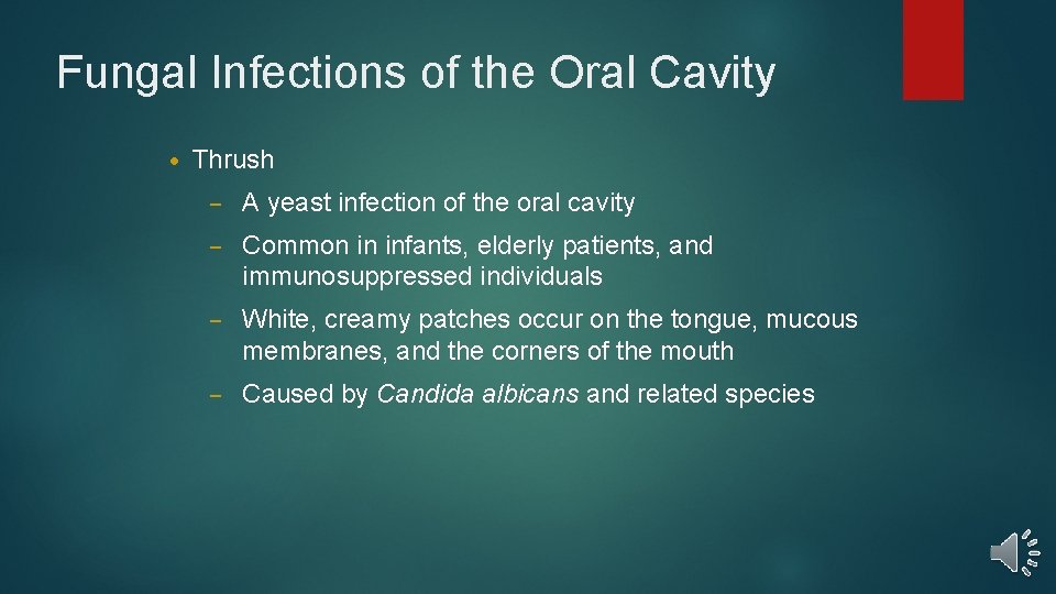 Fungal Infections of the Oral Cavity • Thrush – A yeast infection of the