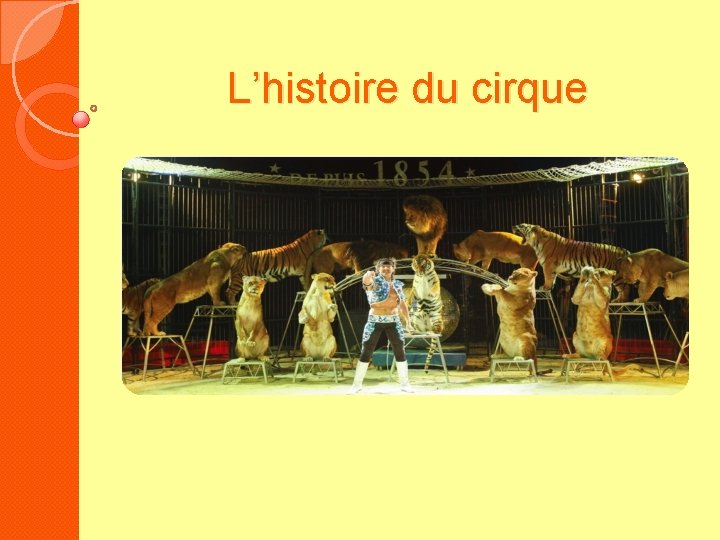 L’histoire du cirque 