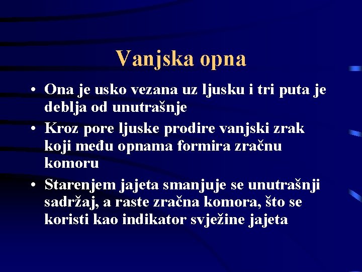 Vanjska opna • Ona je usko vezana uz ljusku i tri puta je deblja