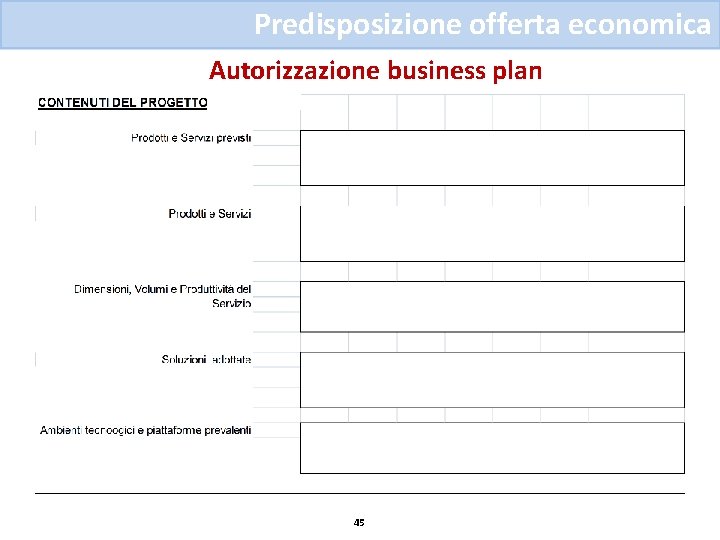 Predisposizione offerta economica Autorizzazione business plan 45 