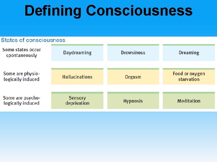 Defining Consciousness 