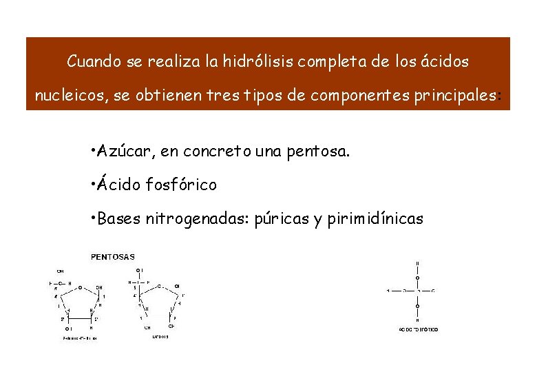 Cuando se realiza la hidrólisis completa de los ácidos nucleicos, se obtienen tres tipos