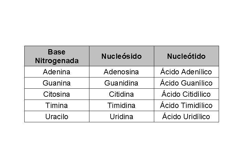 Base Nitrogenada Adenina Guanina Citosina Timina Uracilo Nucleósido Nucleótido Adenosina Guanidina Ácido Adenílico Ácido