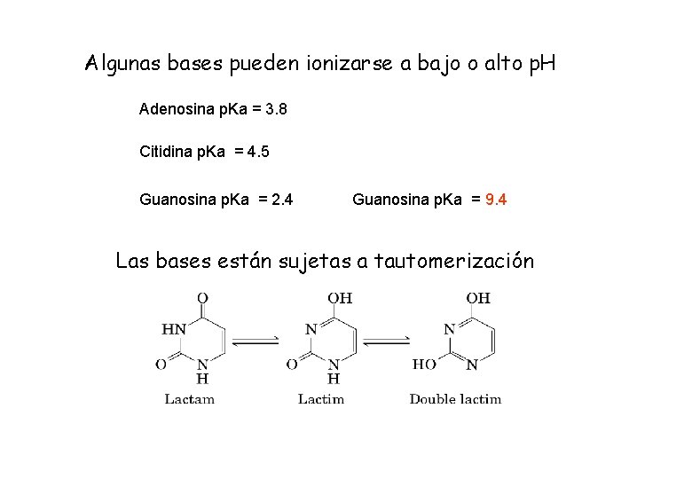 Algunas bases pueden ionizarse a bajo o alto p. H Adenosina p. Ka =