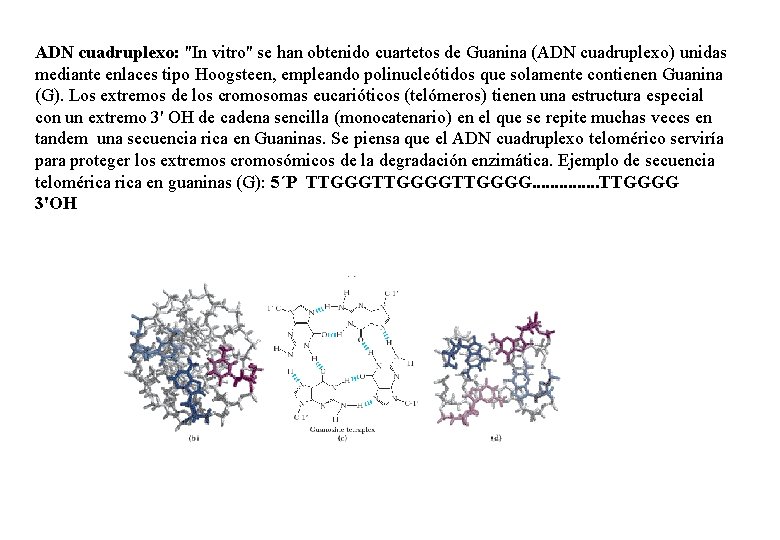 ADN cuadruplexo: "In vitro" se han obtenido cuartetos de Guanina (ADN cuadruplexo) unidas mediante