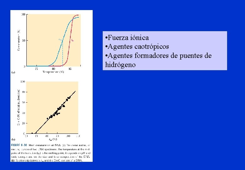  • Fuerza iónica • Agentes caotrópicos • Agentes formadores de puentes de hidrógeno