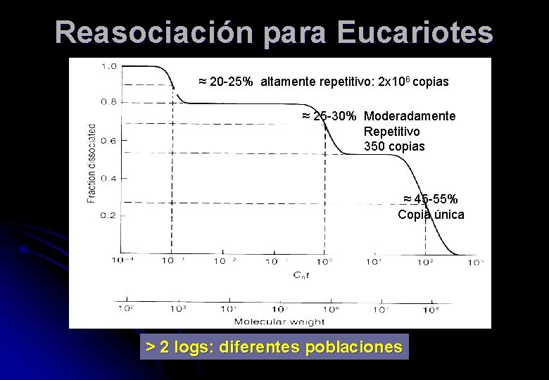 Reasociación para Eucariotes ≈ 20 -25% altamente repetitivo: 2 x 106 copias ≈ 25