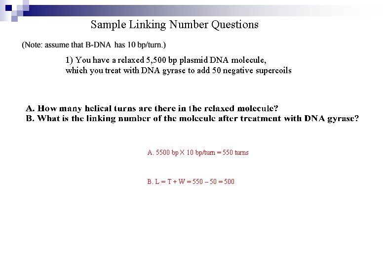 Sample Linking Number Questions 1) You have a relaxed 5, 500 bp plasmid DNA