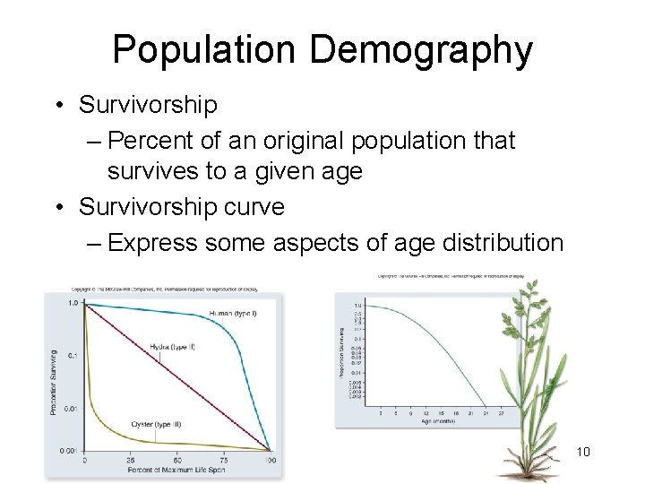 Population Demography • Survivorship – Percent of an original population that survives to a