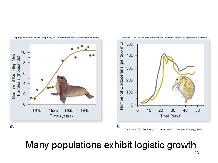 Many populations exhibit logistic growth 19 