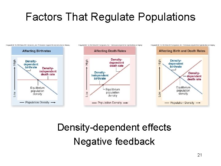 Factors That Regulate Populations Density-dependent effects Negative feedback 21 