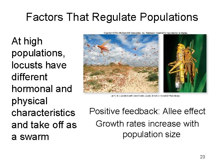 Factors That Regulate Populations At high populations, locusts have different hormonal and physical characteristics