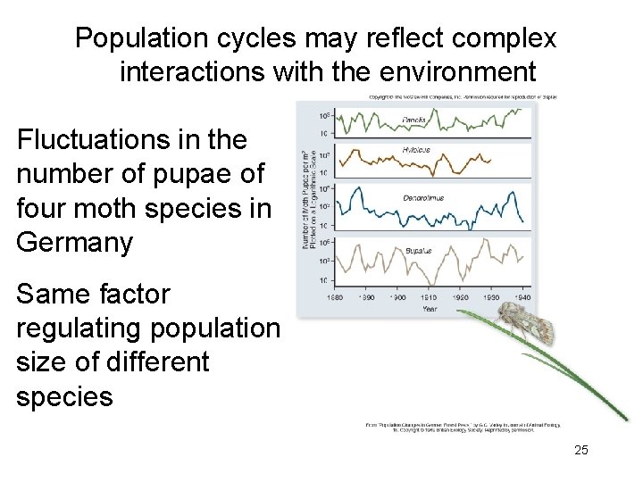 Population cycles may reflect complex interactions with the environment Fluctuations in the number of