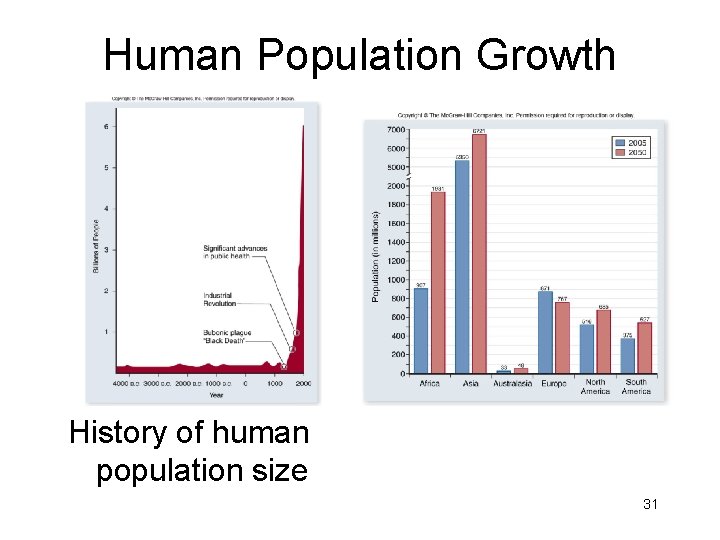 Human Population Growth History of human population size 31 