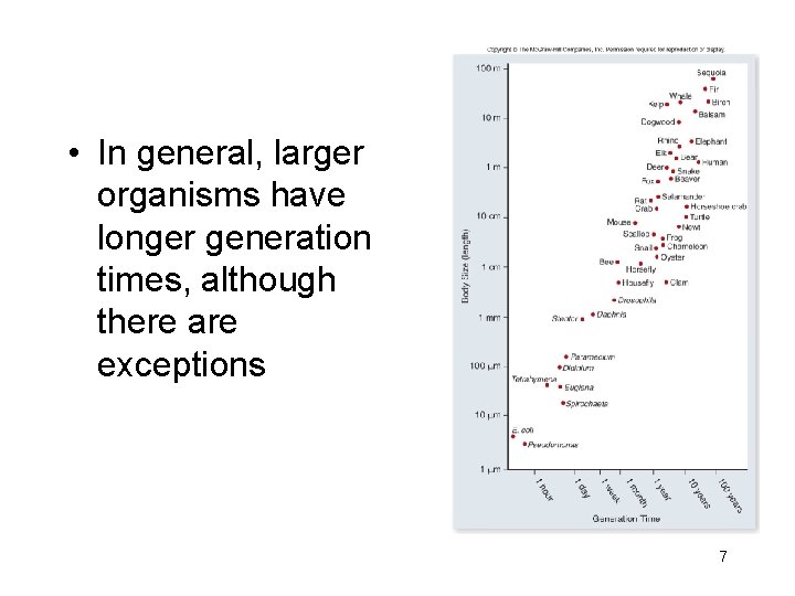  • In general, larger organisms have longer generation times, although there are exceptions