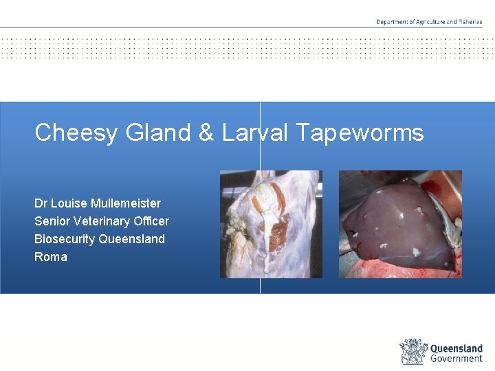 Cheesy Gland & Larval Tapeworms Dr Louise Mullemeister Senior Veterinary Officer Biosecurity Queensland Roma