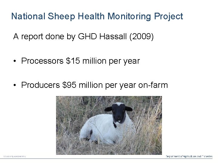 National Sheep Health Monitoring Project A report done by GHD Hassall (2009) • Processors