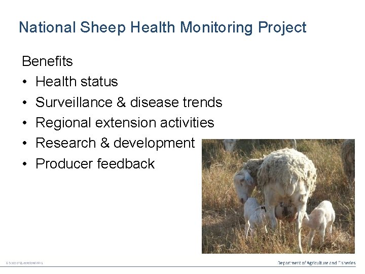 National Sheep Health Monitoring Project Benefits • Health status • Surveillance & disease trends