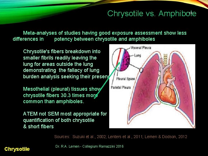 Chrysotile vs. Amphibole 13 Meta-analyses of studies having good exposure assessment show less differences