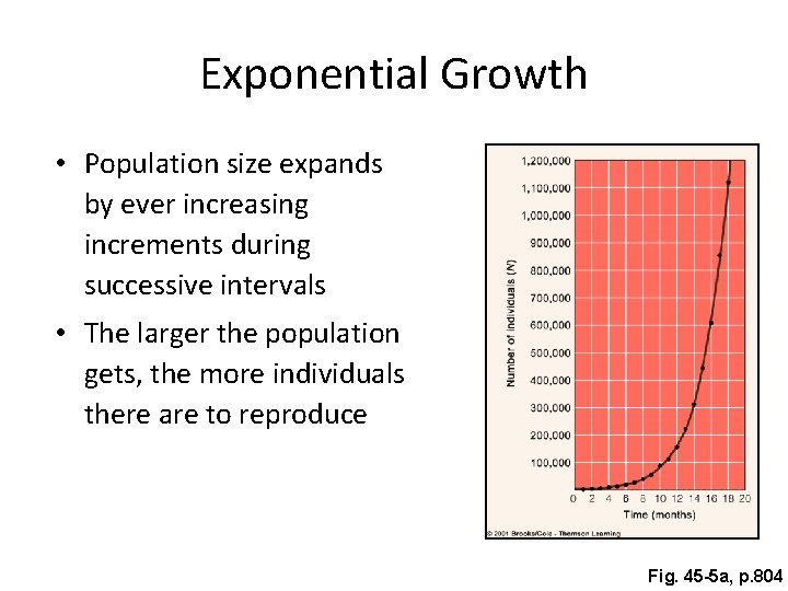 Exponential Growth • Population size expands by ever increasing increments during successive intervals •