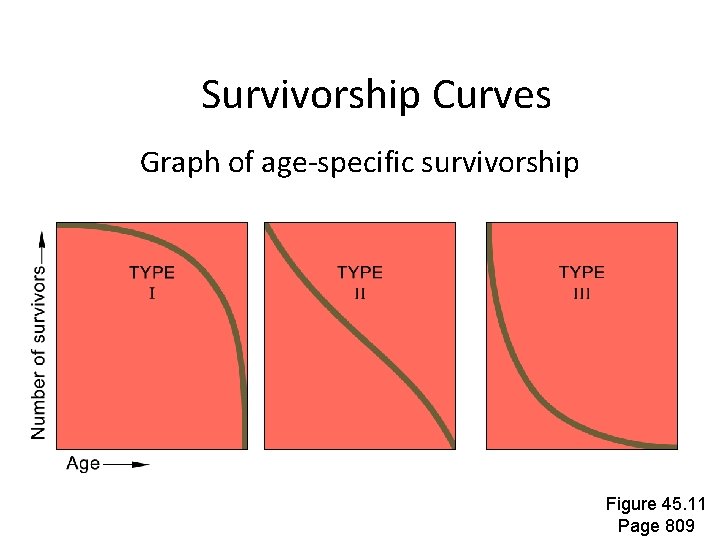 Survivorship Curves Graph of age-specific survivorship Figure 45. 11 Page 809 