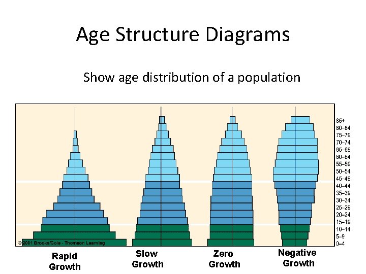 Age Structure Diagrams Show age distribution of a population Rapid Growth Slow Growth Zero