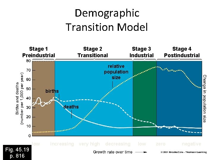 Demographic Transition Model Stage 1 Preindustrial Stage 2 Transitional Stage 3 Industrial Stage 4