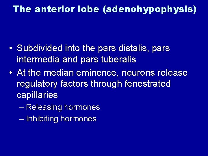 The anterior lobe (adenohypophysis) • Subdivided into the pars distalis, pars intermedia and pars
