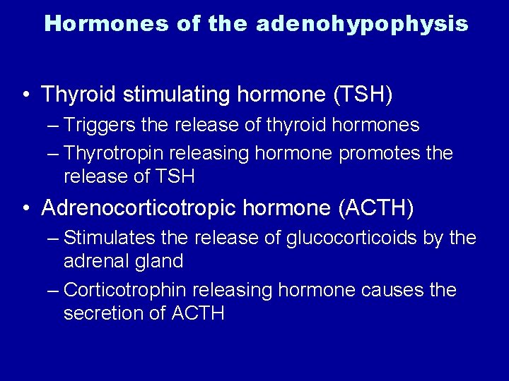 Hormones of the adenohypophysis • Thyroid stimulating hormone (TSH) – Triggers the release of