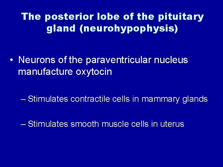 The posterior lobe of the pituitary gland (neurohypophysis) • Neurons of the paraventricular nucleus