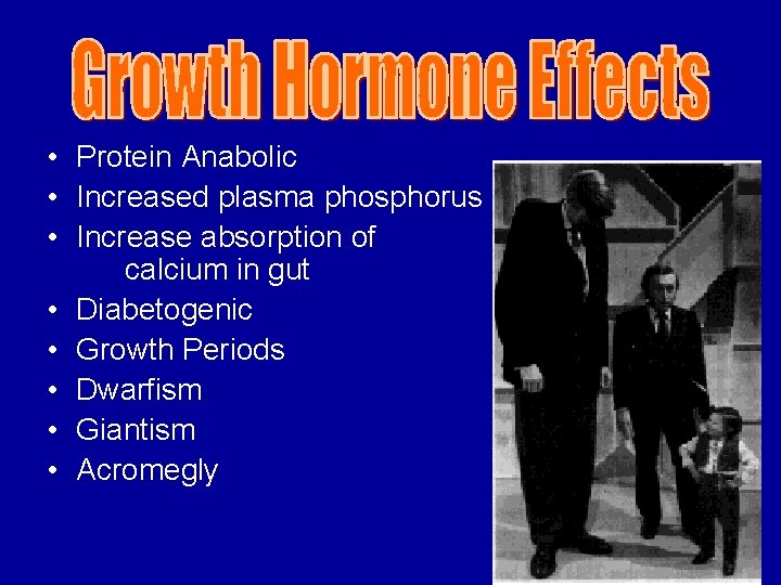  • Protein Anabolic • Increased plasma phosphorus • Increase absorption of calcium in