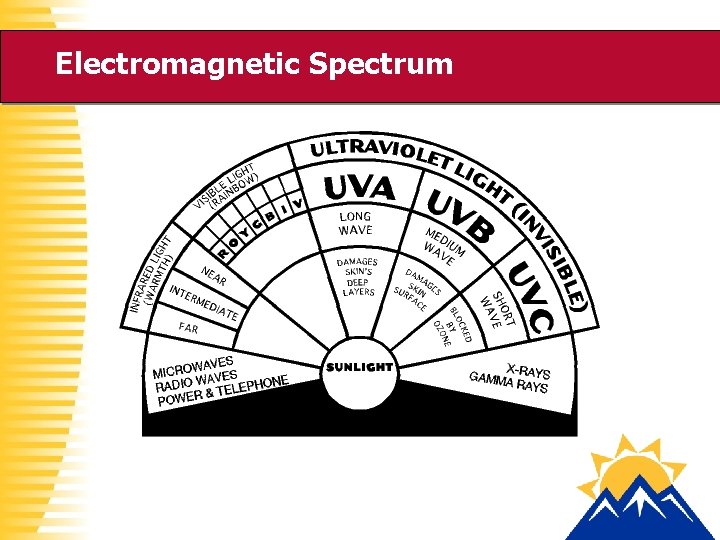 Electromagnetic Spectrum 