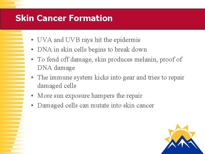 Skin Cancer Formation • UVA and UVB rays hit the epidermis • DNA in