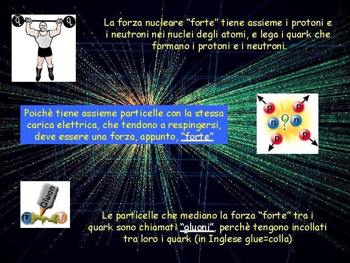 La forza nucleare “forte” tiene assieme i protoni e i neutroni nei nuclei degli