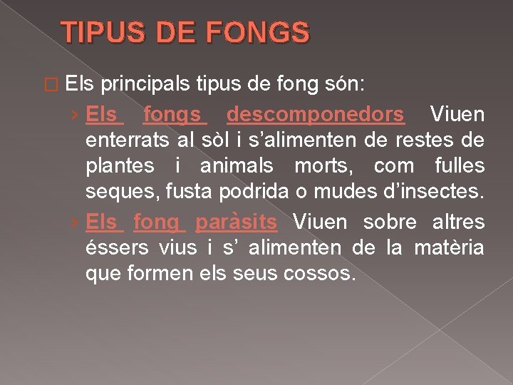 TIPUS DE FONGS � Els principals tipus de fong són: › Els fongs descomponedors